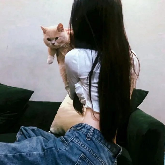 猫和老鼠：间谍使命